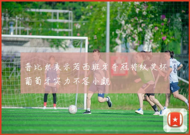 普比尔表示若西班牙夺冠将纹奖杯葡萄牙实力不容小觑