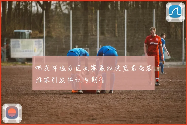 吧友评选分区决赛最拉奖究竟花落谁家引发热议与期待